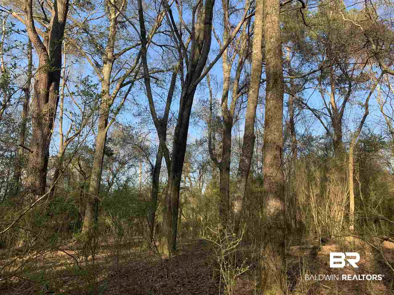 0 Sexton Brg Road Luverne, AL 36049 - Photo 24 of 50