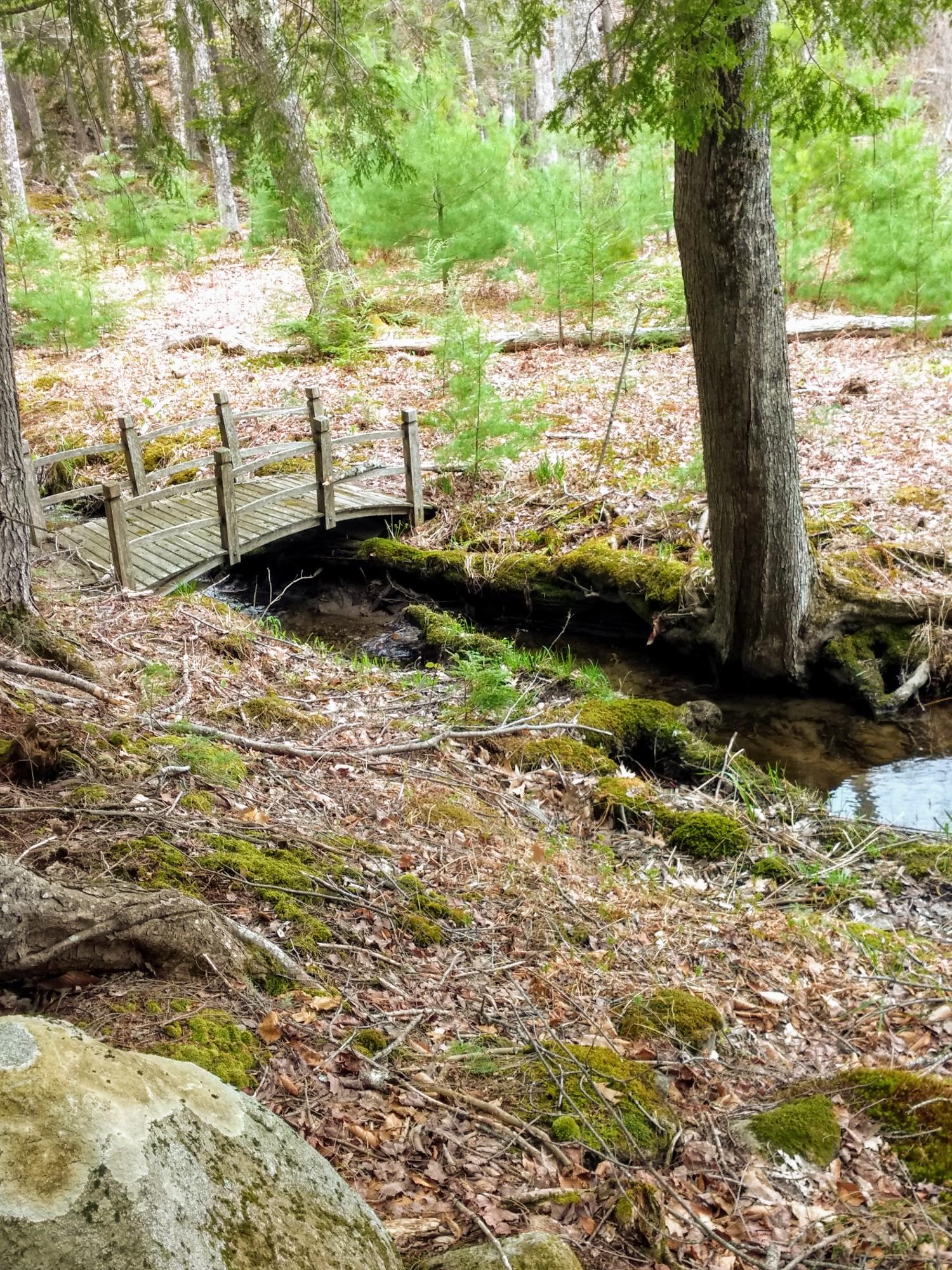 2803 Main Street Fayette, ME 04349 - Photo 3 of 10 Bridge over brook