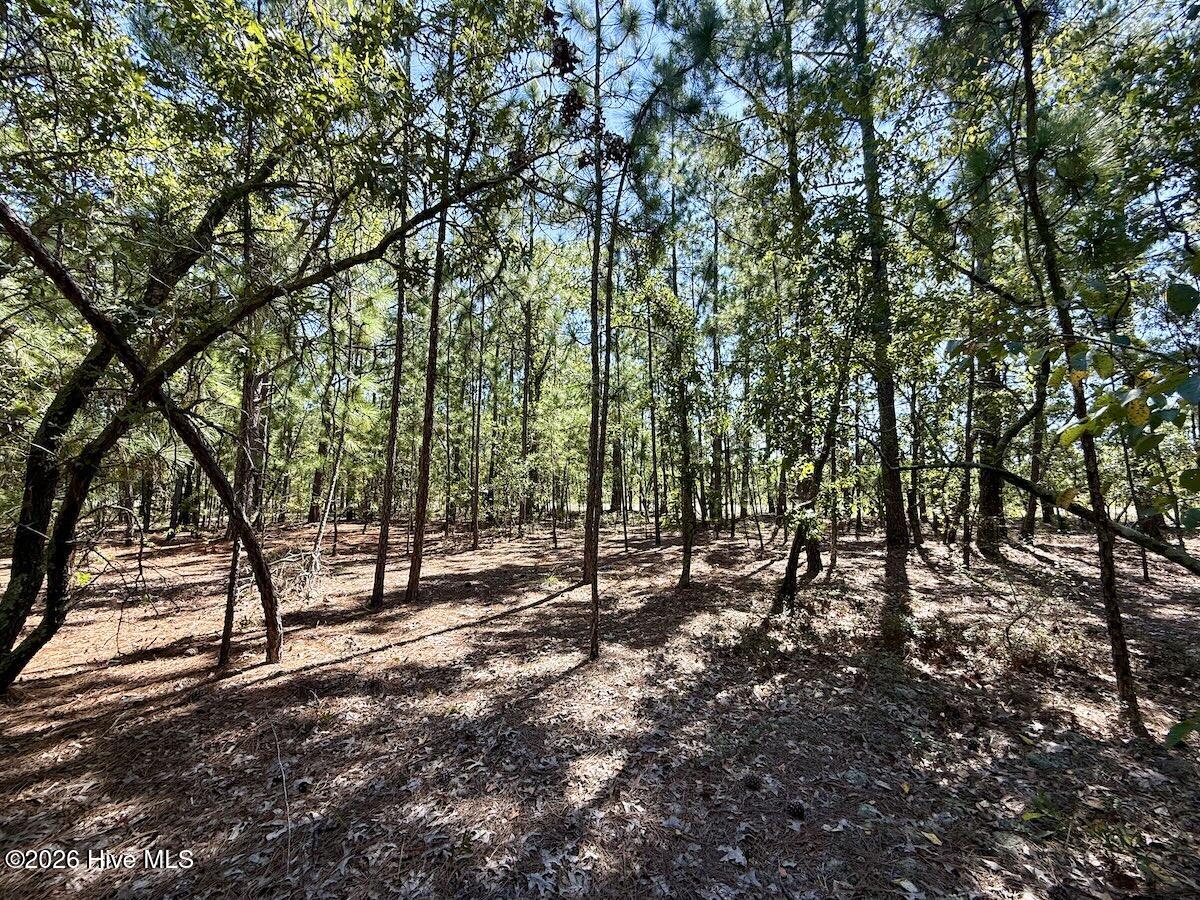 Lot 11 Marks Road Cameron, NC 28326 - Photo 16 of 20 14