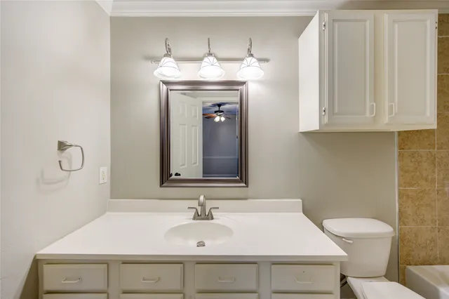 a bathroom with a sink and a toilet