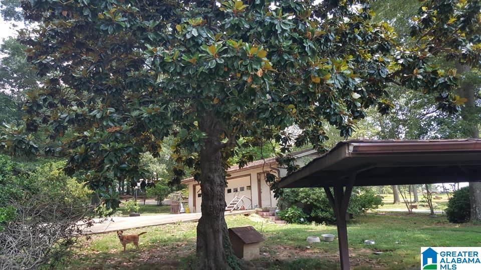325 Rabbit Point Road Cropwell, AL 35054 - Photo 20 of 24