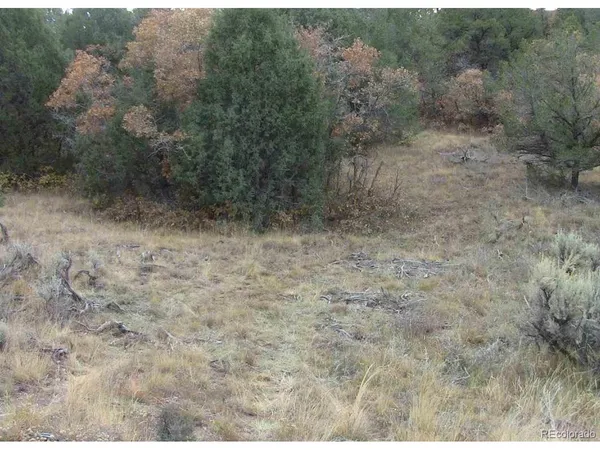 $83,500 | 29 Lakeview Road, San Luis, CO 81152