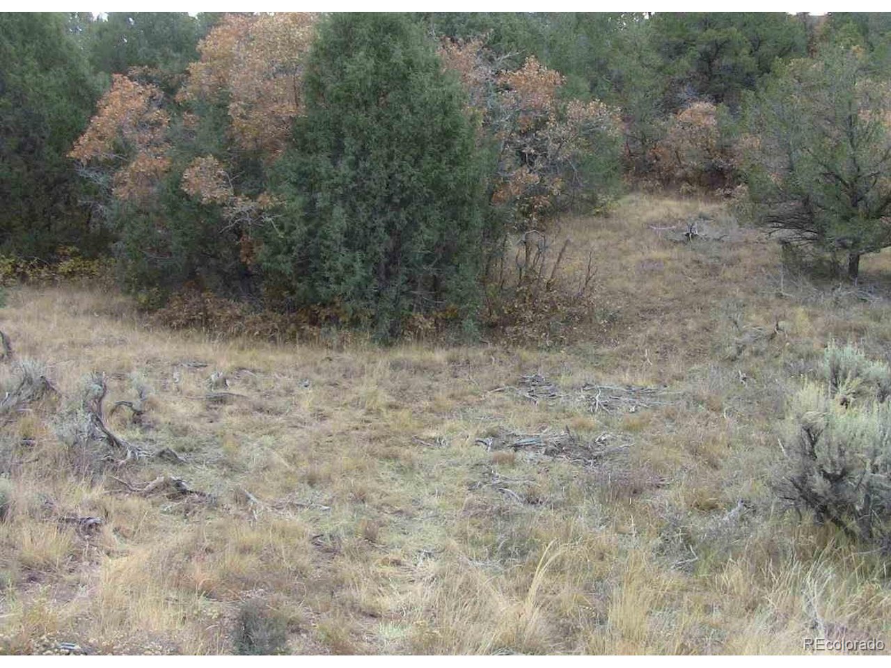 29 Lakeview Road San Luis, CO 81152 - Photo 7 of 17