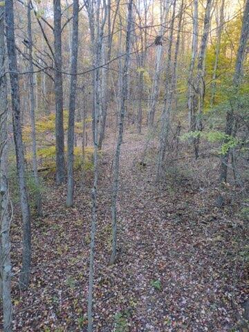57640 St John Road Quaker City, OH 43773 - Photo 23 of 51 Trail-5