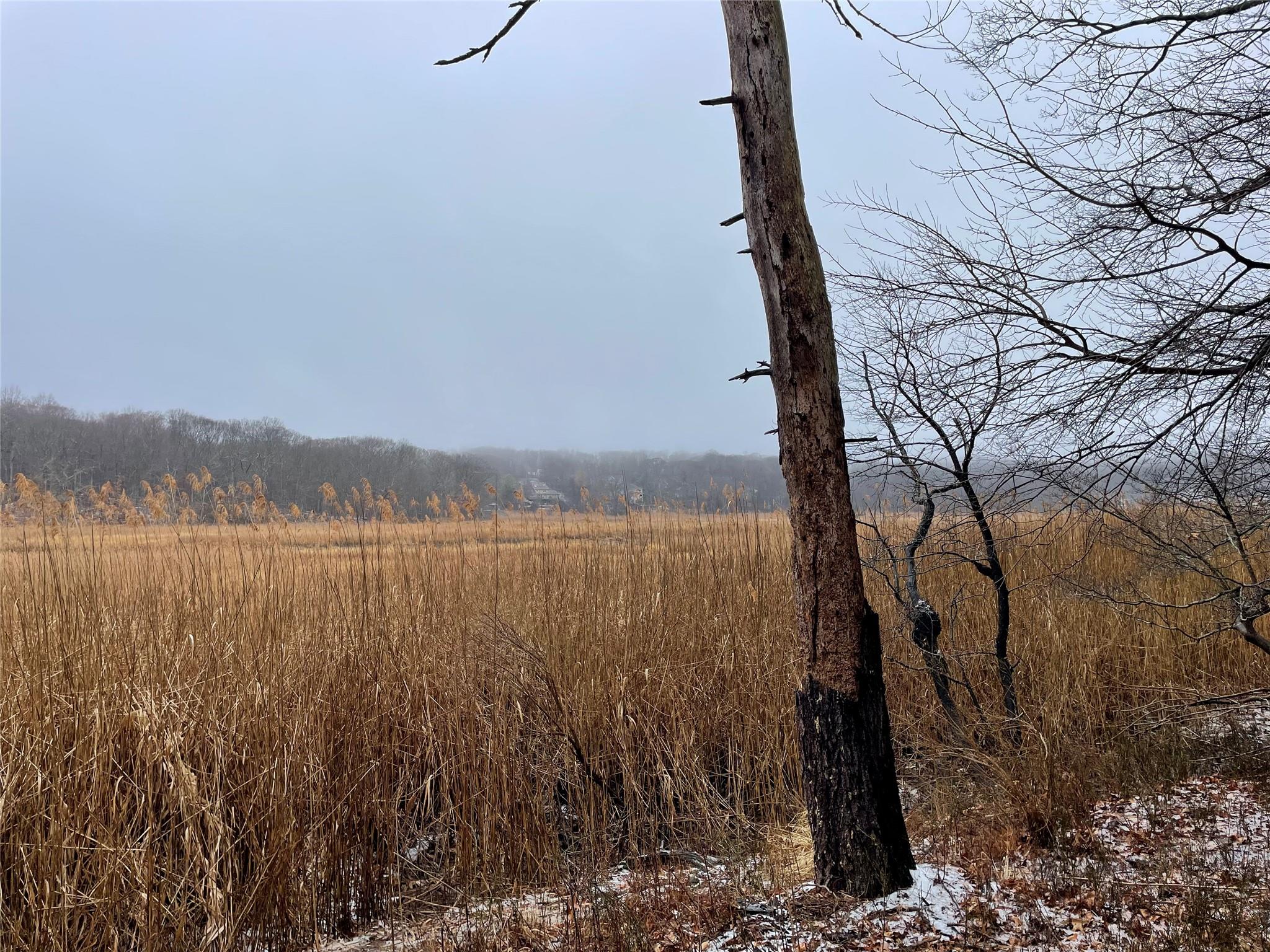 326 A River Road St. James, NY 11780 - Photo 13 of 34 a view of lake