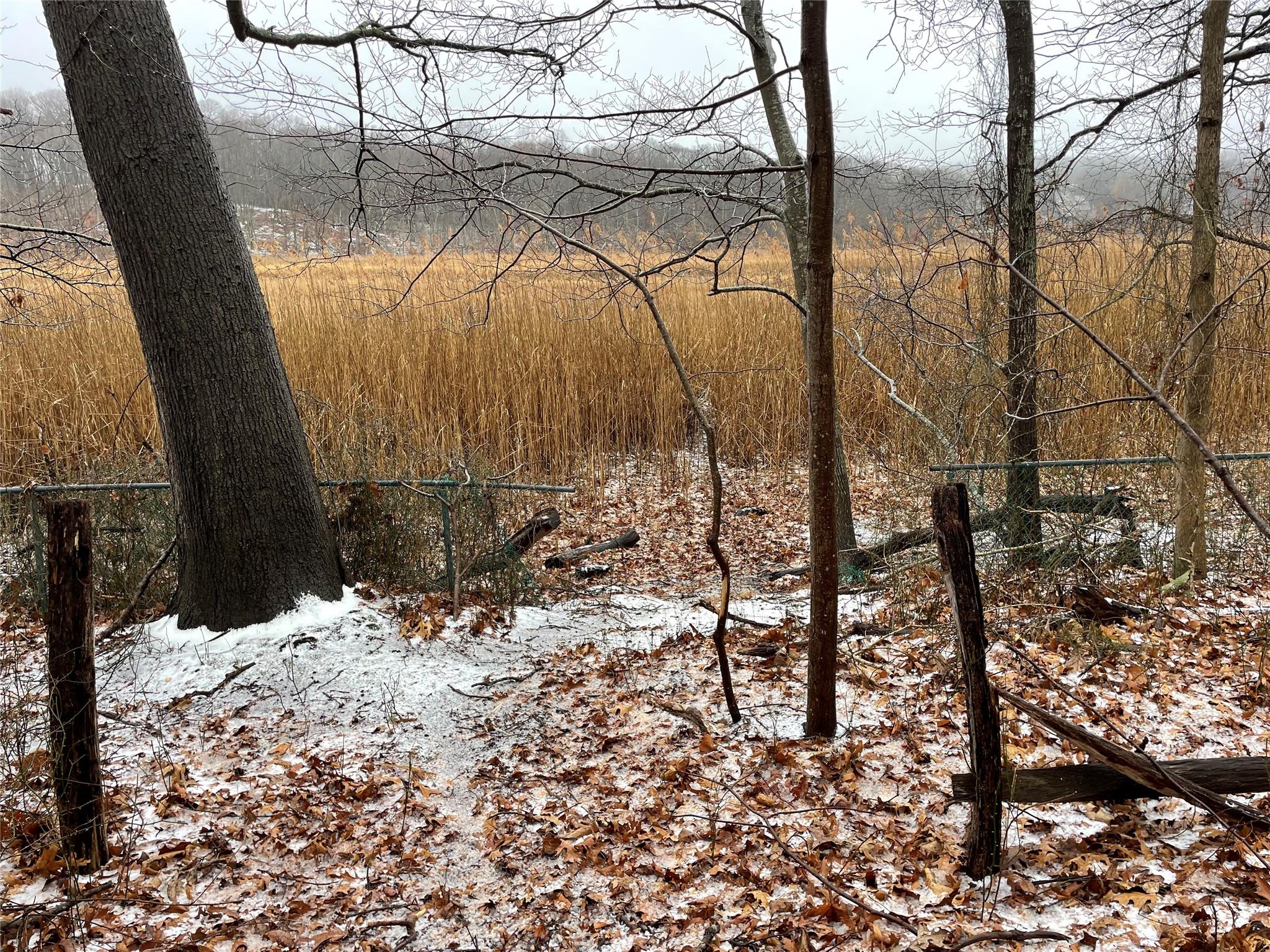 326 A River Road St. James, NY 11780 - Photo 16 of 34 a view of a backyard of the house