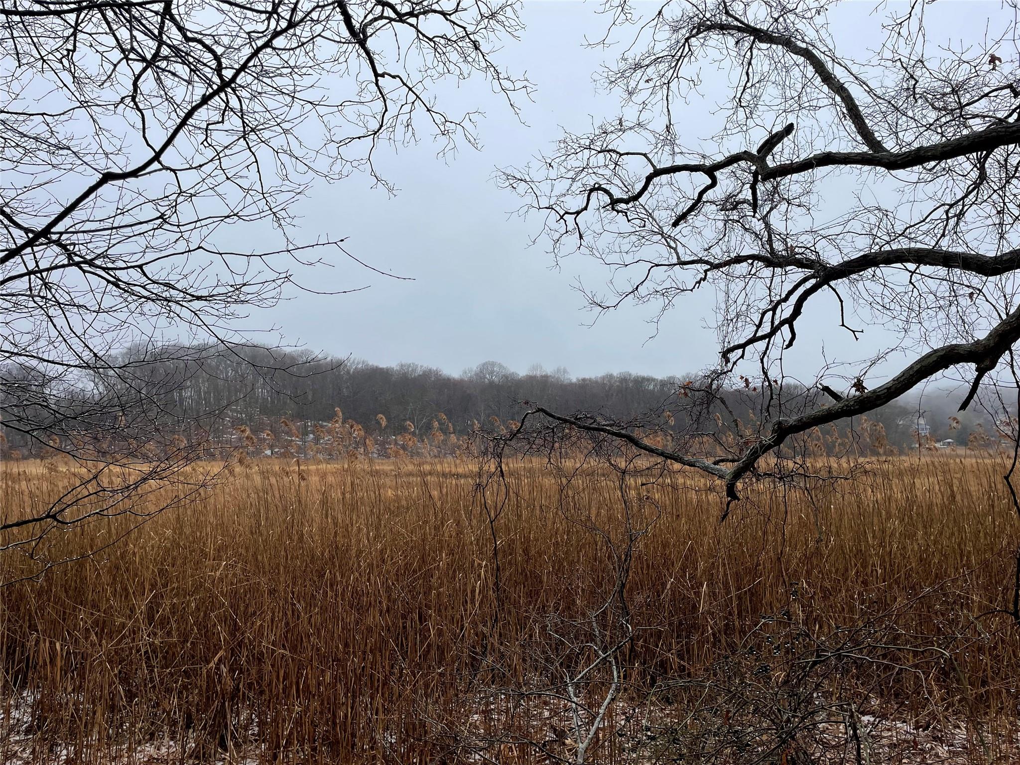 326 A River Road St. James, NY 11780 - Photo 18 of 34 a view of a lake in middle of forest