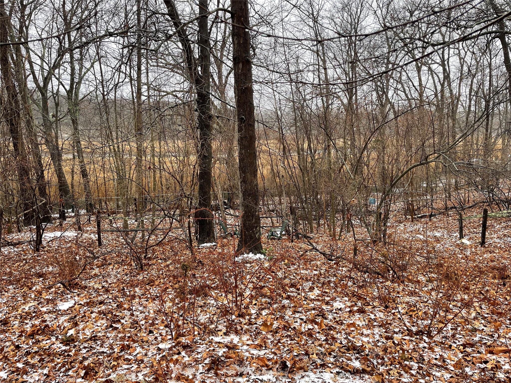 326 A River Road St. James, NY 11780 - Photo 20 of 34 a view of outdoor space with lots of trees