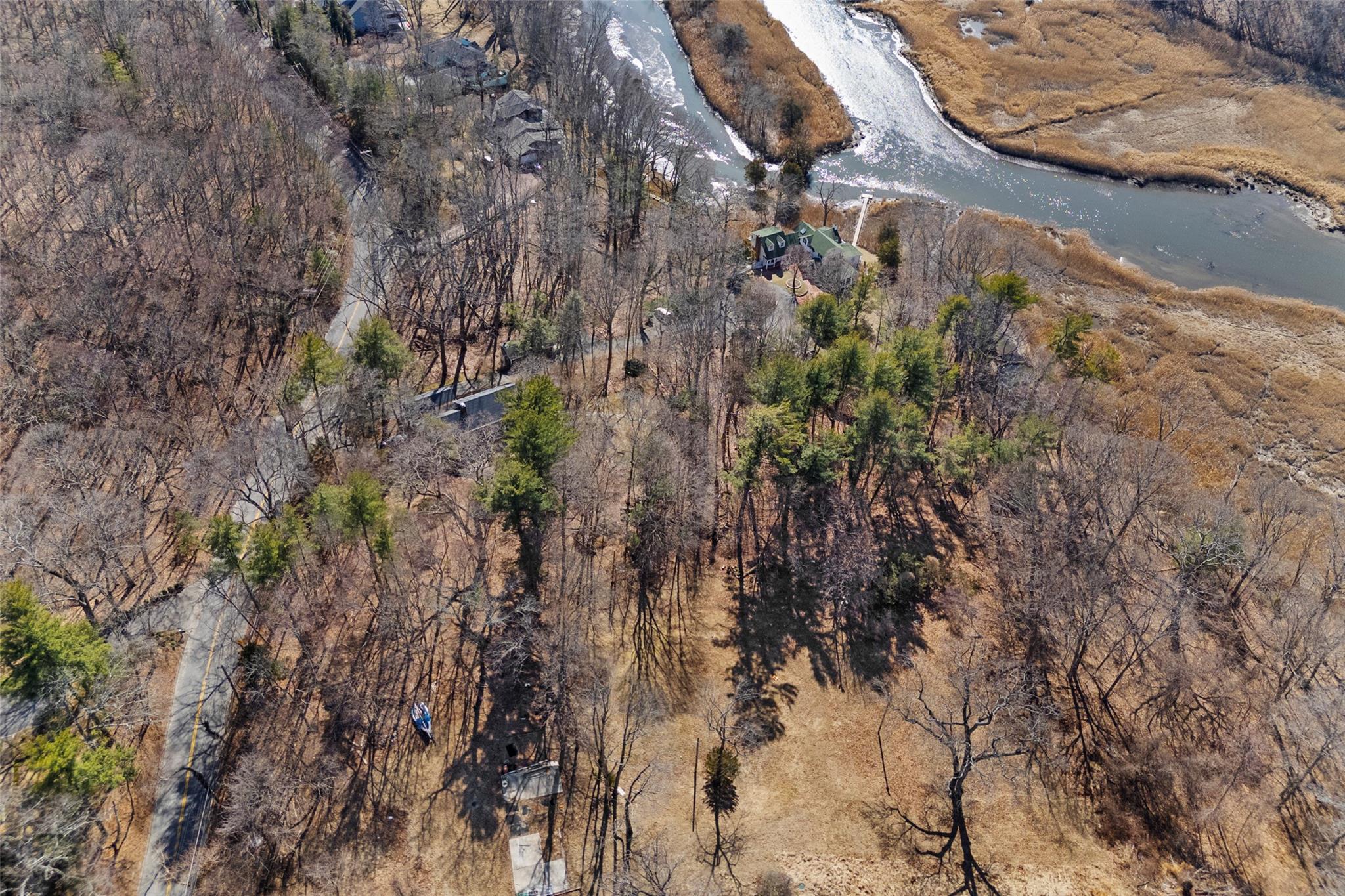326 A River Road St. James, NY 11780 - Photo 28 of 34 a view of a forest with a tree