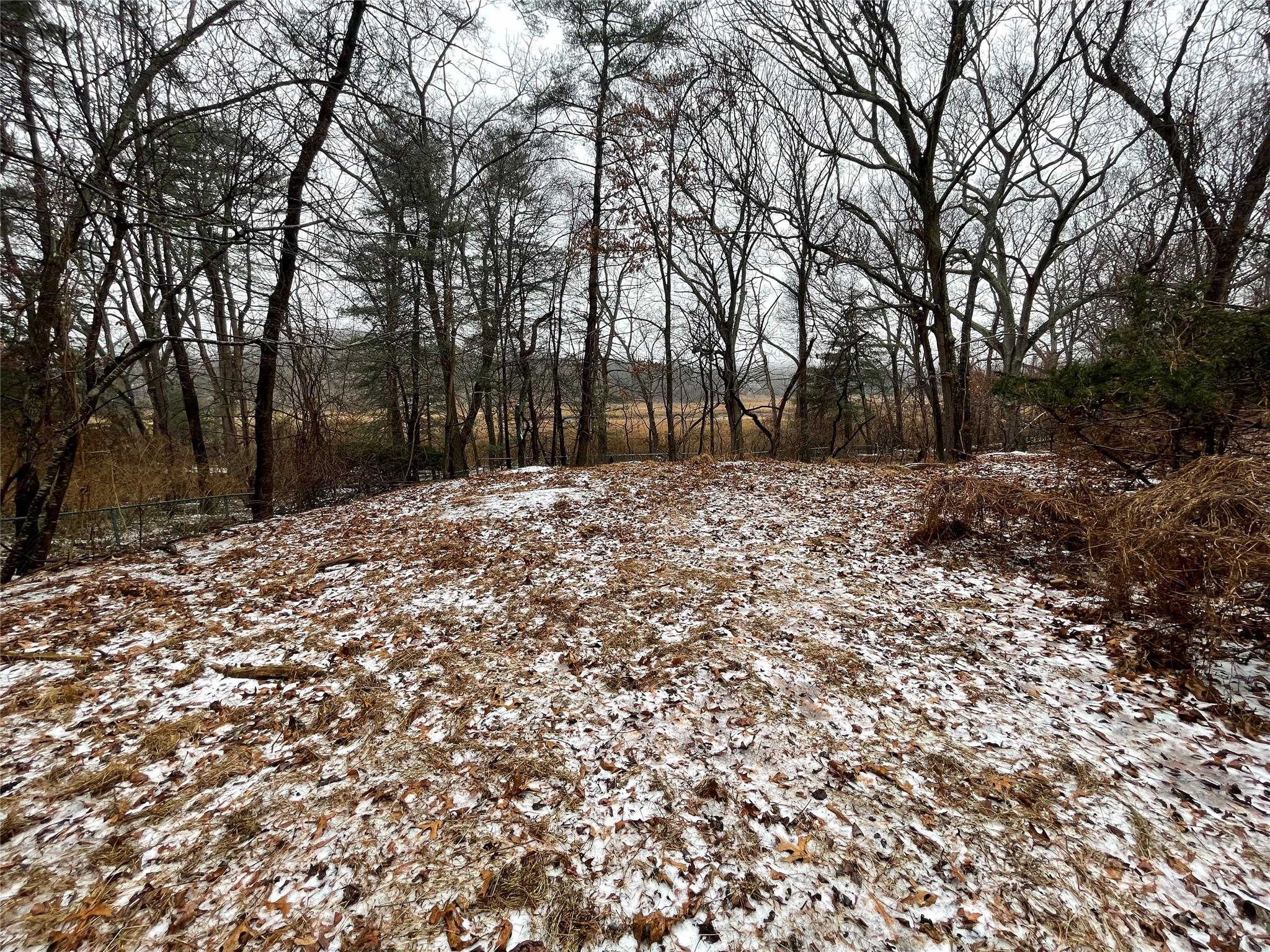 326 A River Road St. James, NY 11780 - Photo 9 of 34 a view of a yard with trees