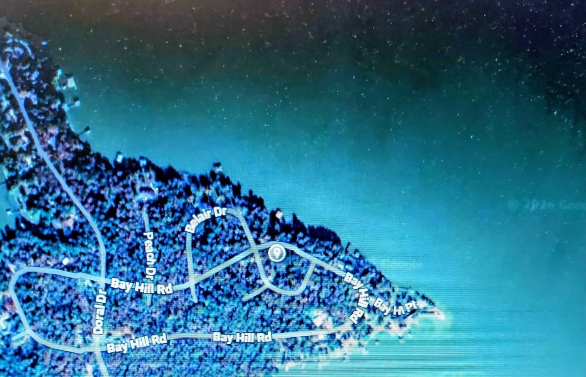 0 Bay Hill Road Point Blank, TX 77364 - Photo 1 of 9 a view of a garden