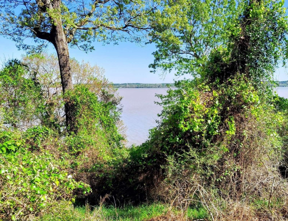 0 Bay Hill Road Point Blank, TX 77364 - Photo 3 of 9 an aerial view of a house with a yard