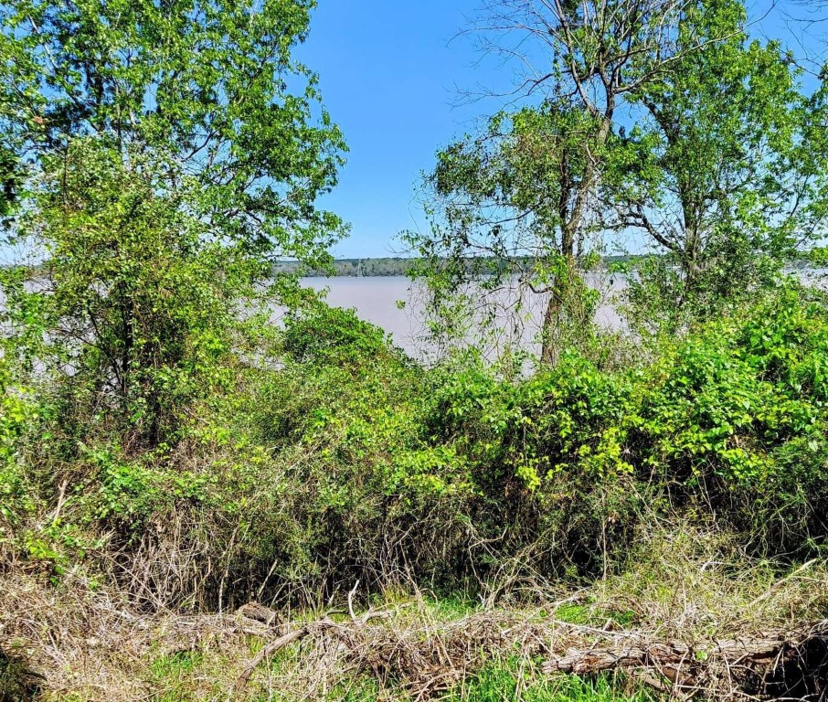 0 Bay Hill Road Point Blank, TX 77364 - Photo 4 of 9 a backyard of a house with a yard and outdoor seating