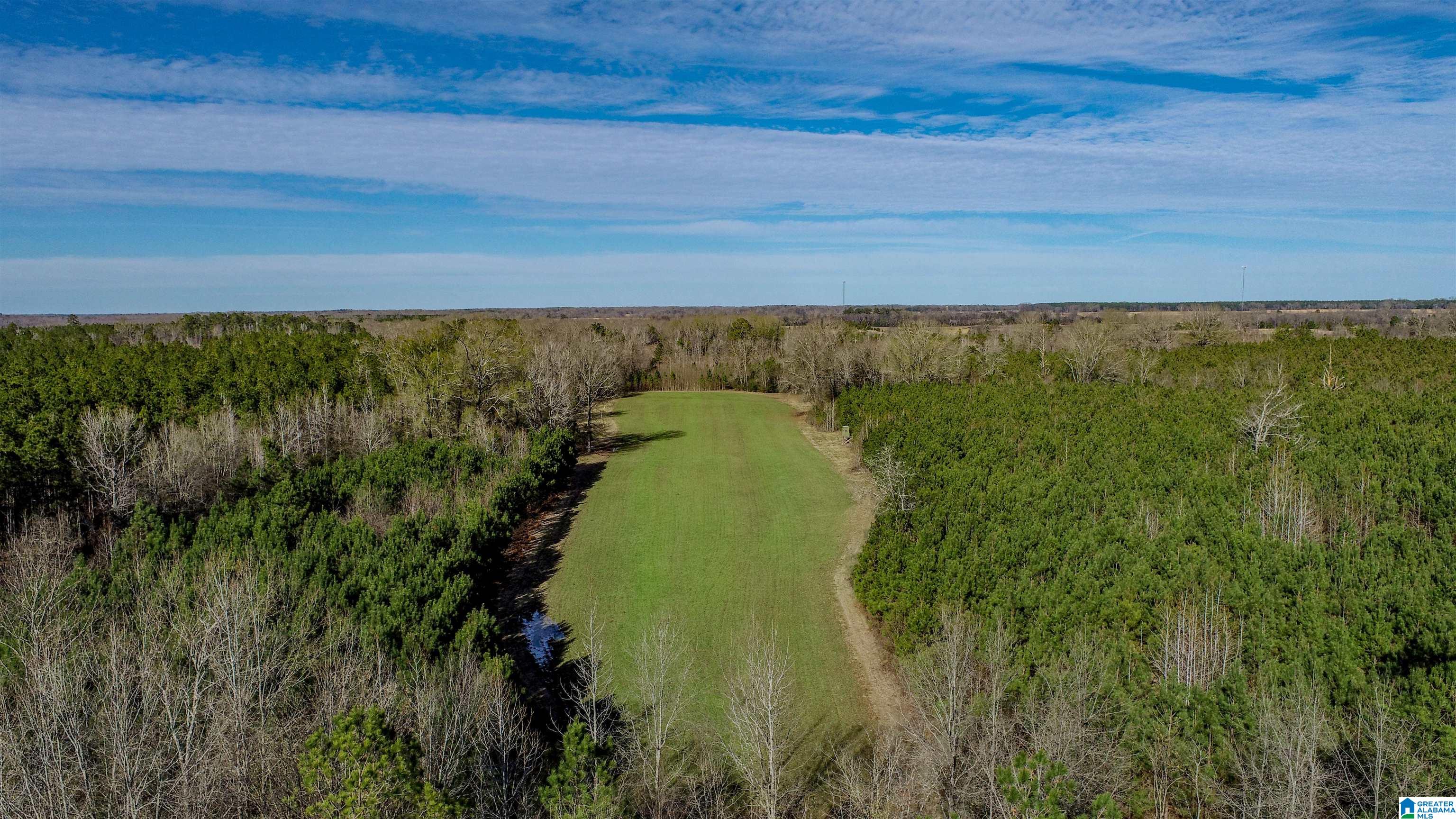 8619 County Road 33 Linden, AL 36748 - Photo 18 of 54
