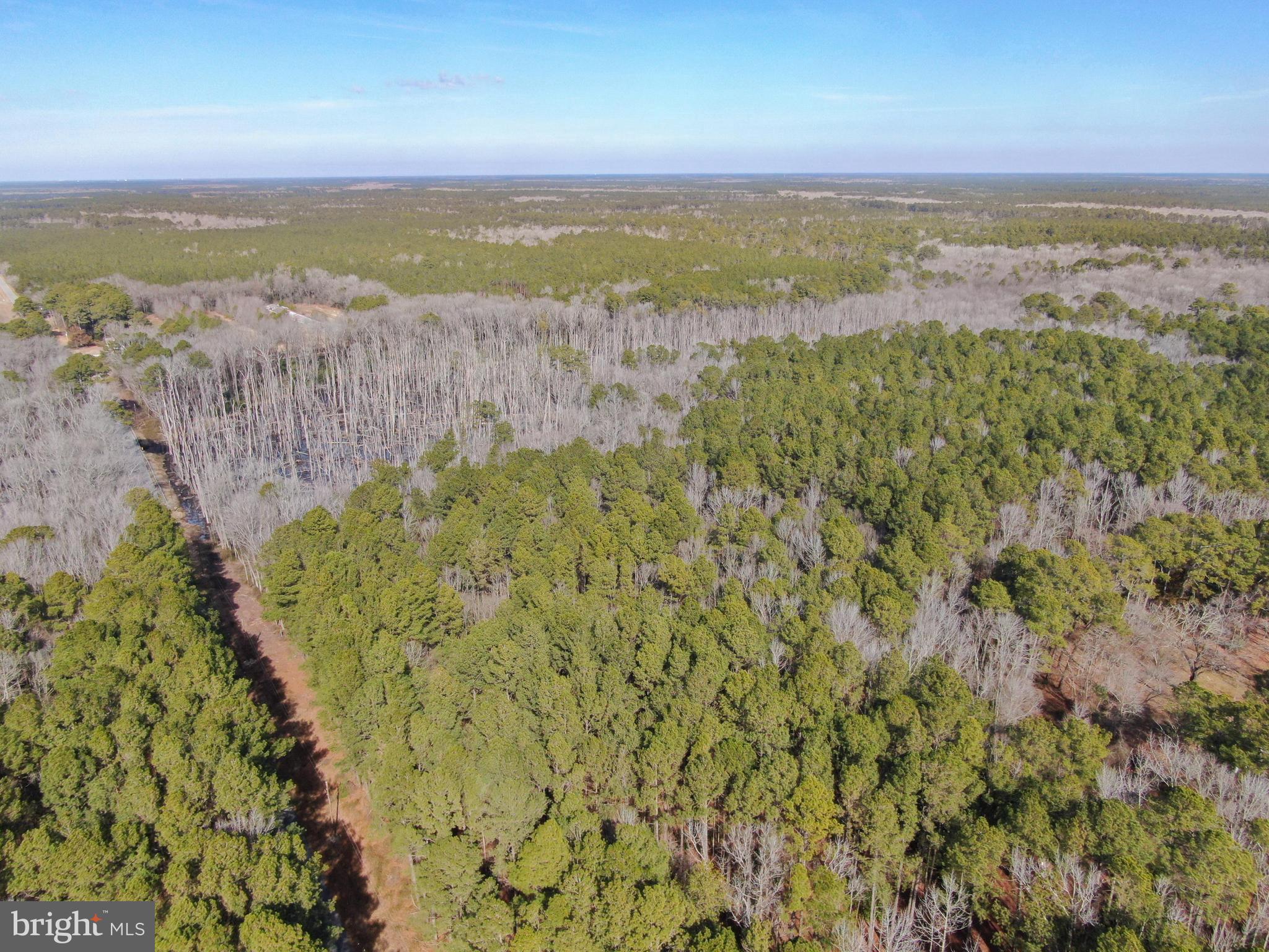 Lot 1 Sand Road Snow Hill, MD 21863 - Photo 5 of 5 a view of an ocean view