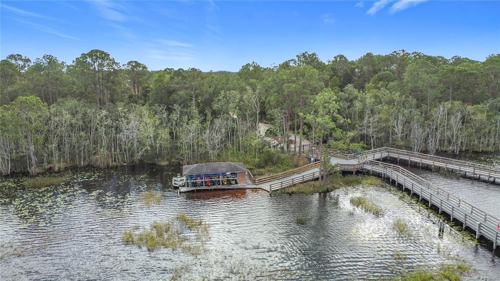 3319 Pond Pine Road Harmony, FL 34773 - Photo 22 of 22