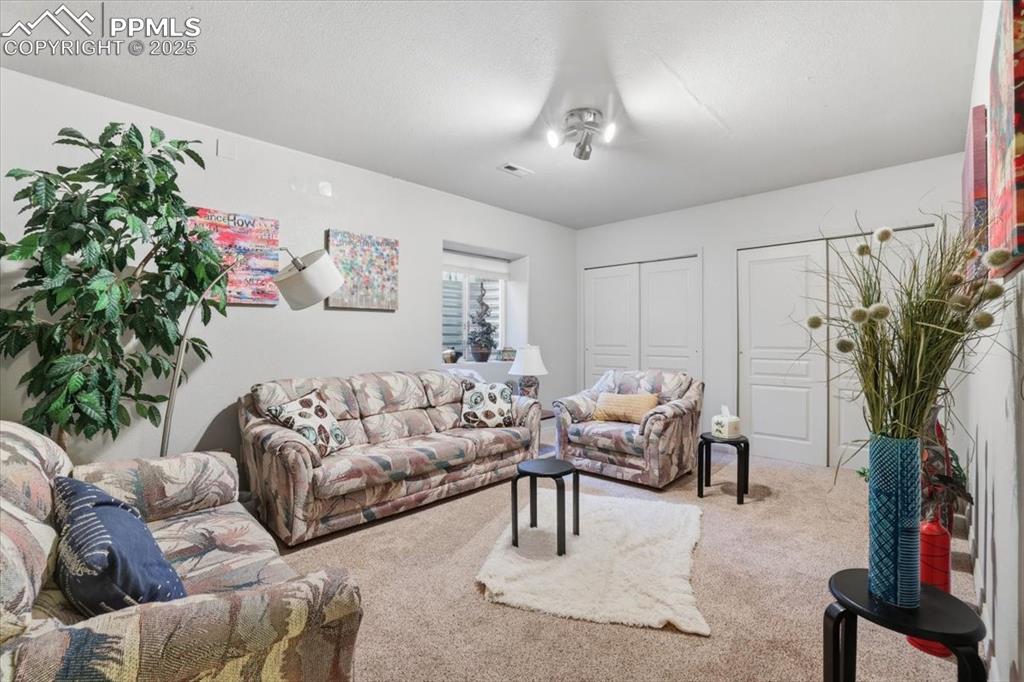 15655 Falcon Ridge Court Colorado Springs, CO 80921 - Photo 29 of 49 Basement bedroom