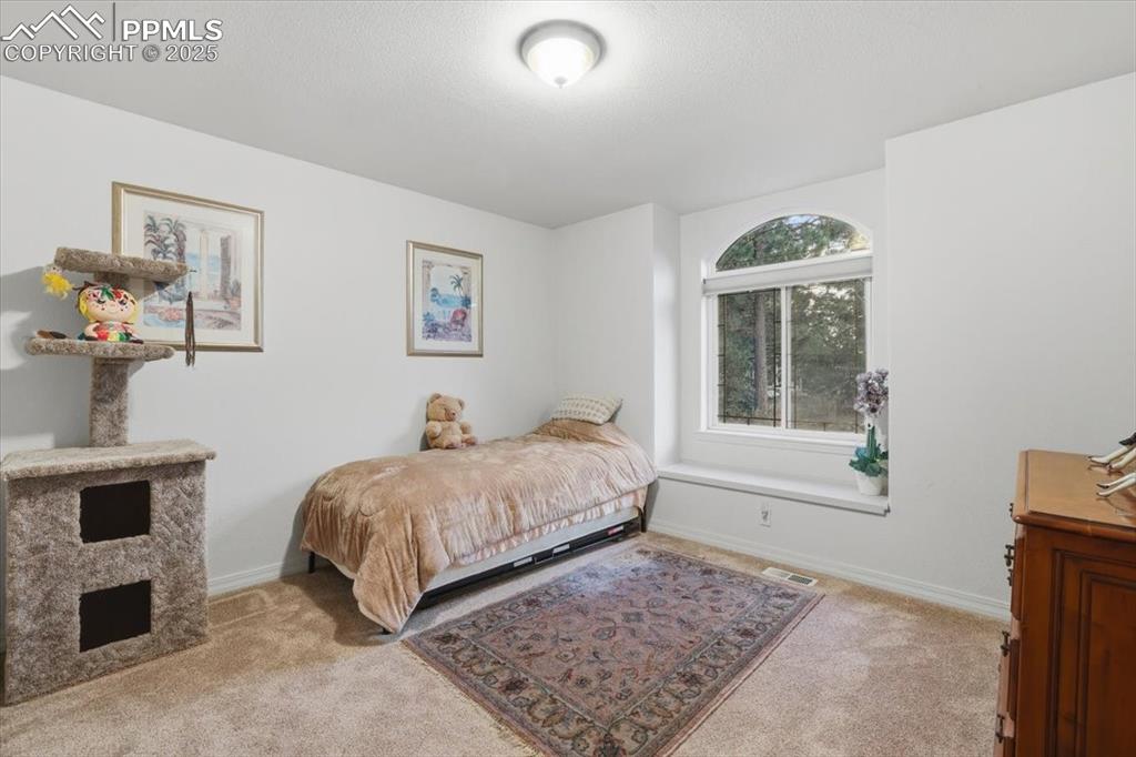 15655 Falcon Ridge Court Colorado Springs, CO 80921 - Photo 33 of 49 Second upstairs bedroom