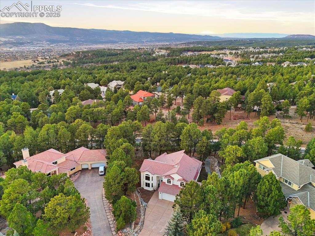 15655 Falcon Ridge Court Colorado Springs, CO 80921 - Photo 47 of 49