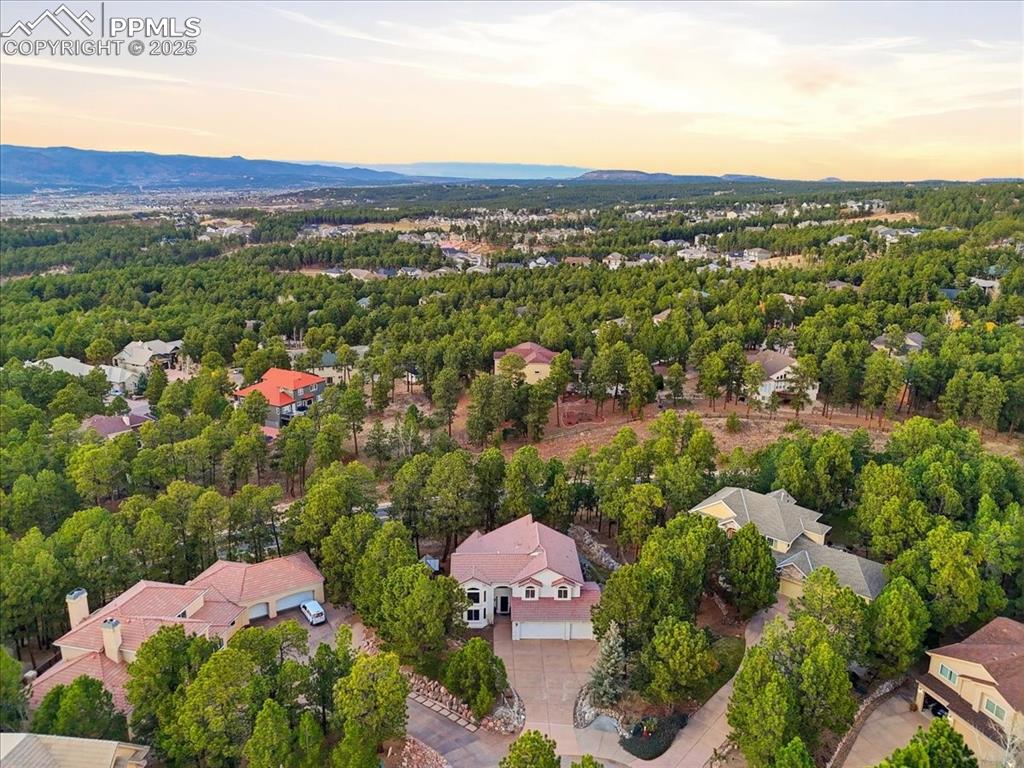 15655 Falcon Ridge Court Colorado Springs, CO 80921 - Photo 48 of 49