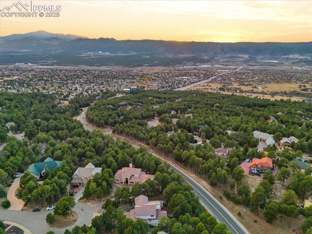 15655 Falcon Ridge Court Colorado Springs, CO 80921 - Photo 49 of 49