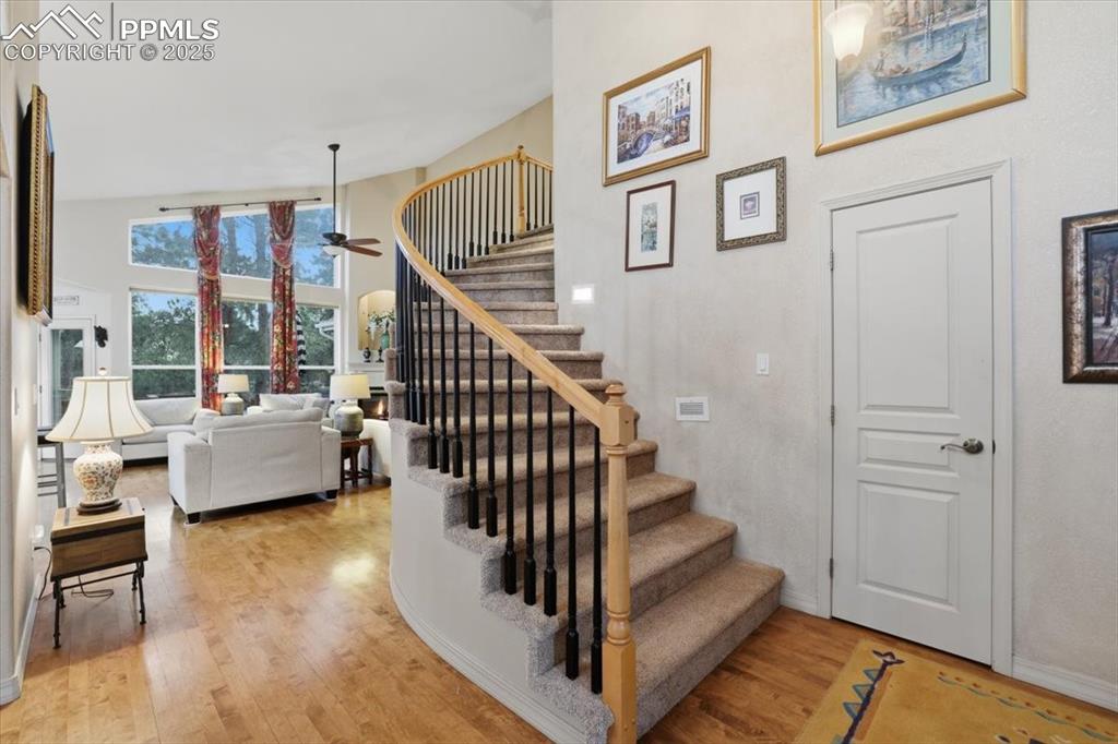 15655 Falcon Ridge Court Colorado Springs, CO 80921 - Photo 5 of 49 Spiral staircase to upper level off of entryway