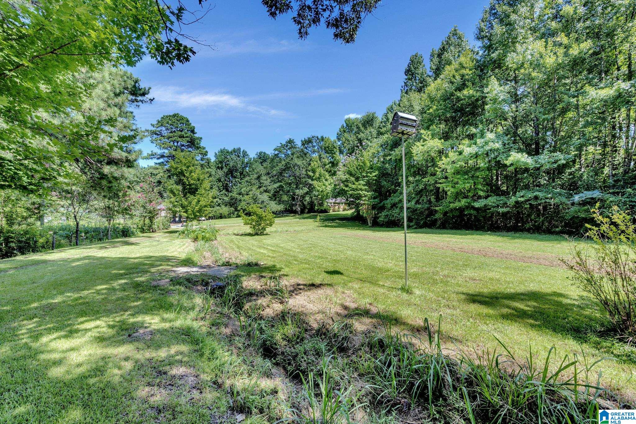 146 Davis Drive Sumiton, AL 35148 - Photo 4 of 26