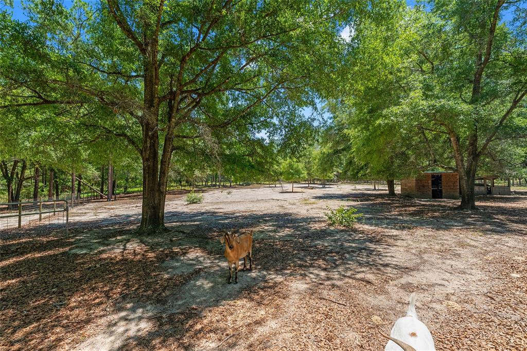 357 Southwest Conestoga Way Fort White, FL 32038 - Photo 42 of 52