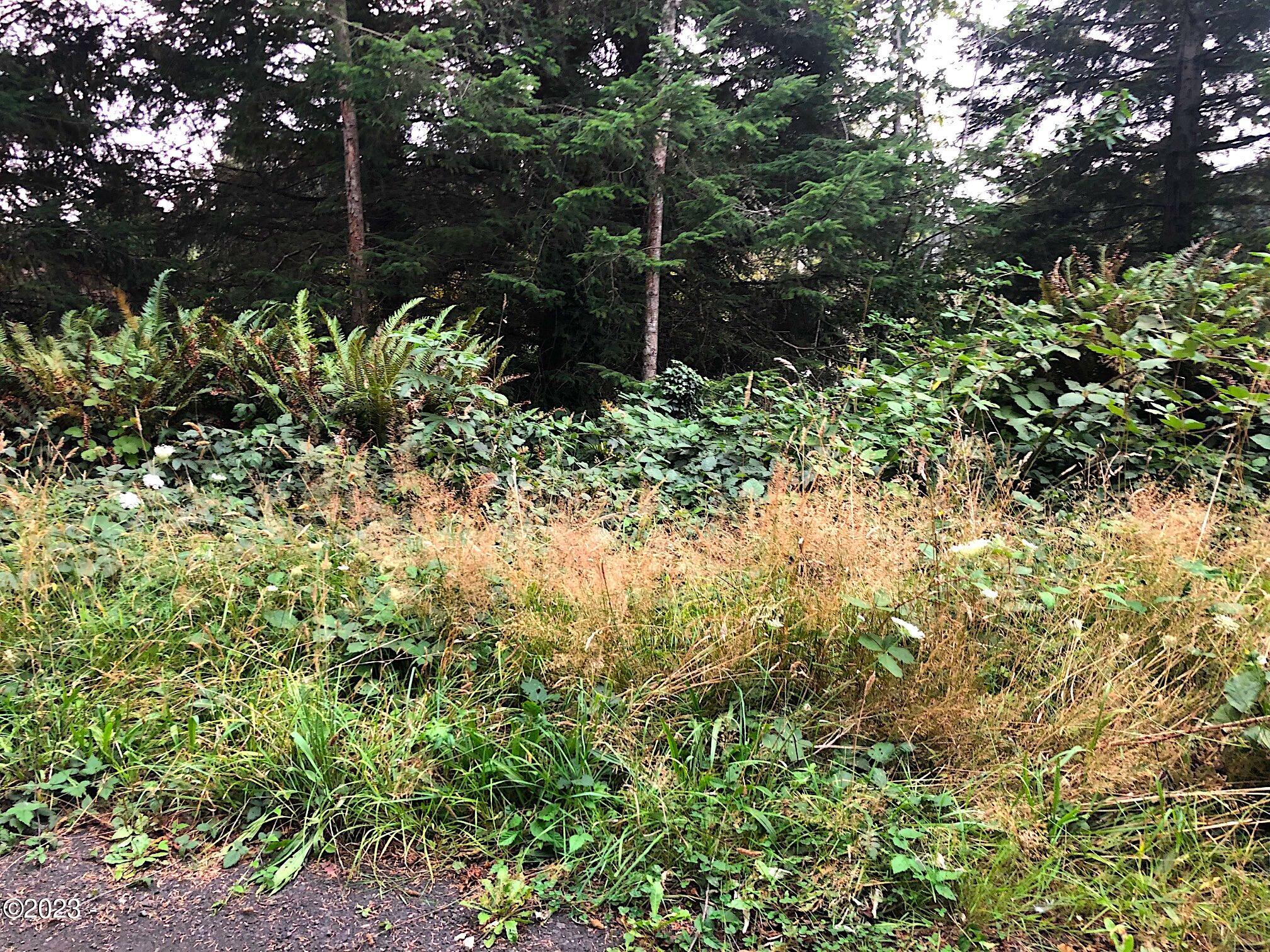700 Northeast East Line Road Yachats, OR 97498 - Photo 3 of 7 IMG_2132