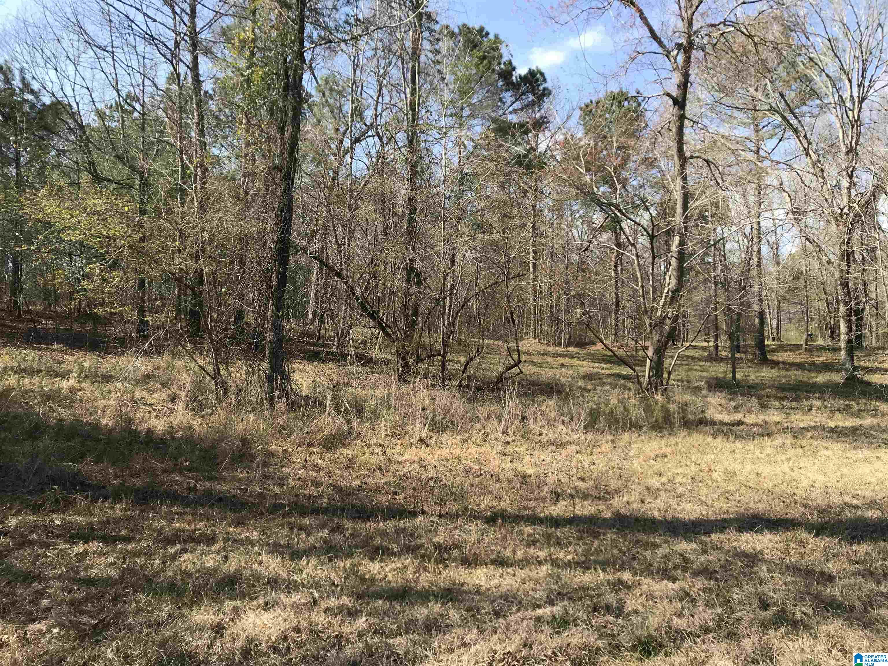 3 Chancellors Ferry Road, Unit 1 Harpersville, AL 35078 - Photo 6 of 14