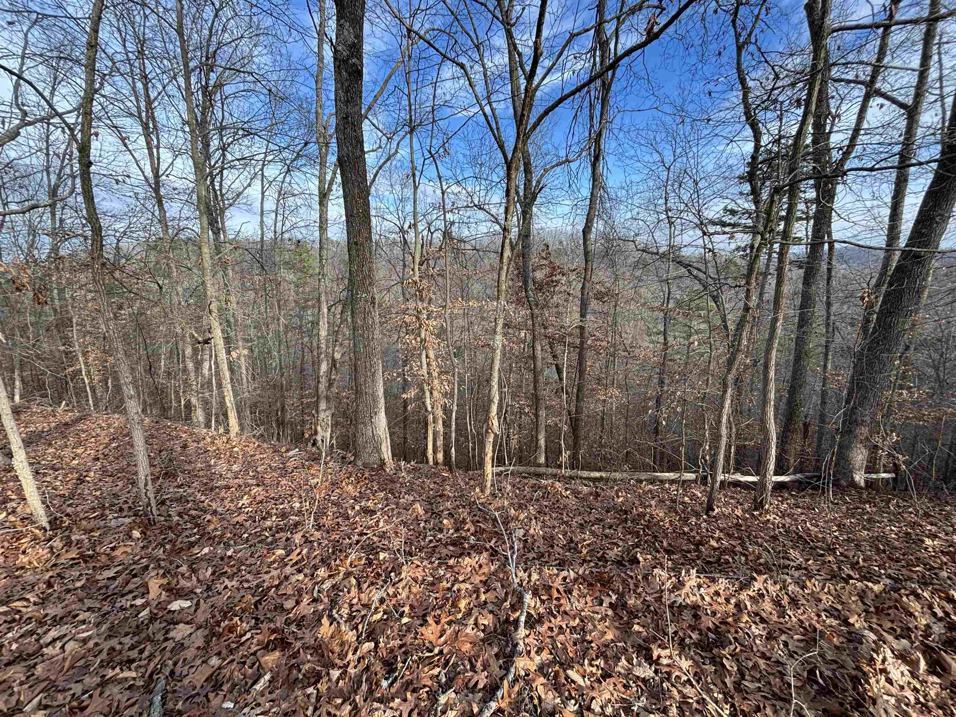 0 Dry Ridge Louisa, KY 41230 - Photo 15 of 18