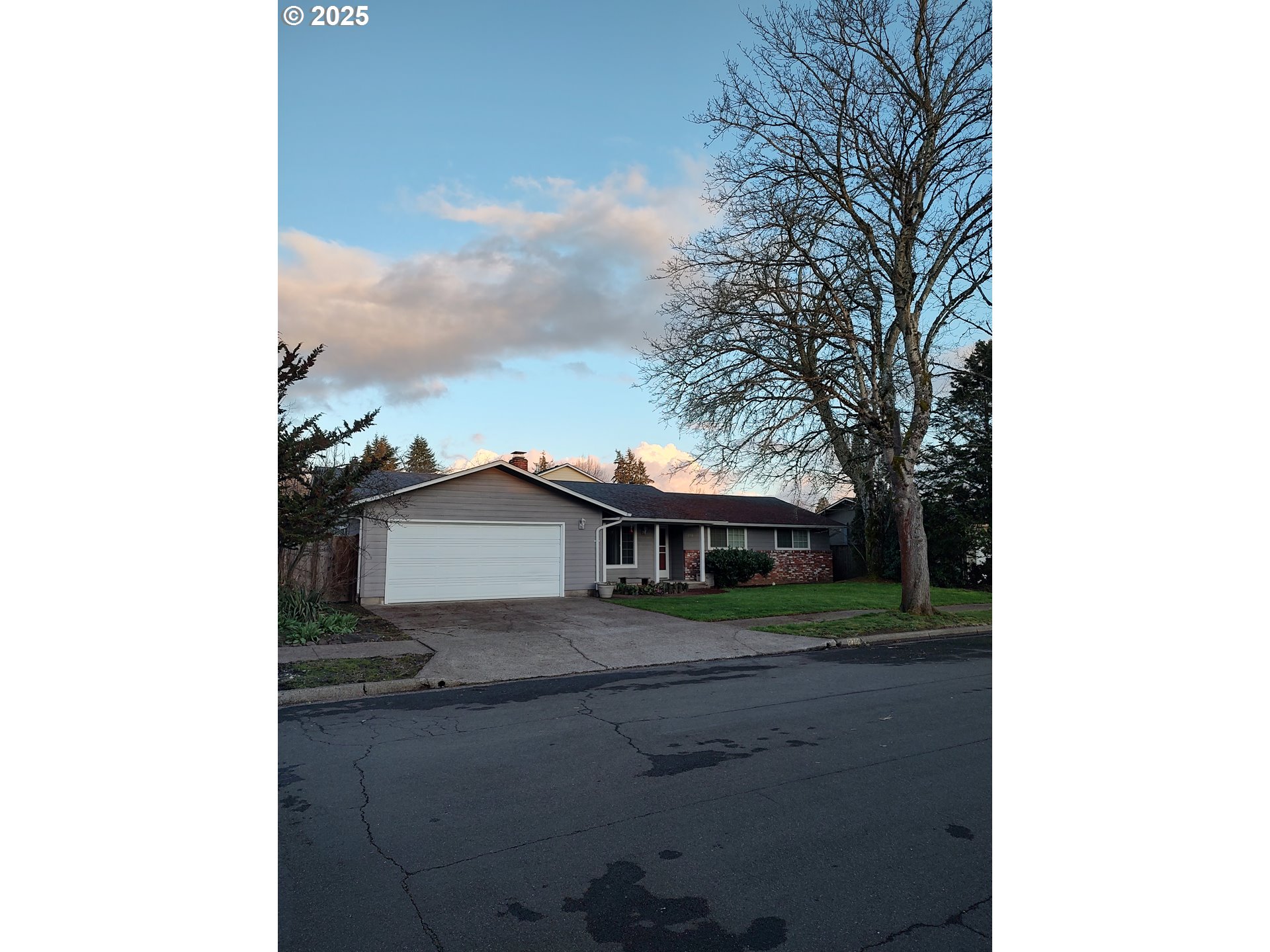 a view of a house with a yard and potted plants