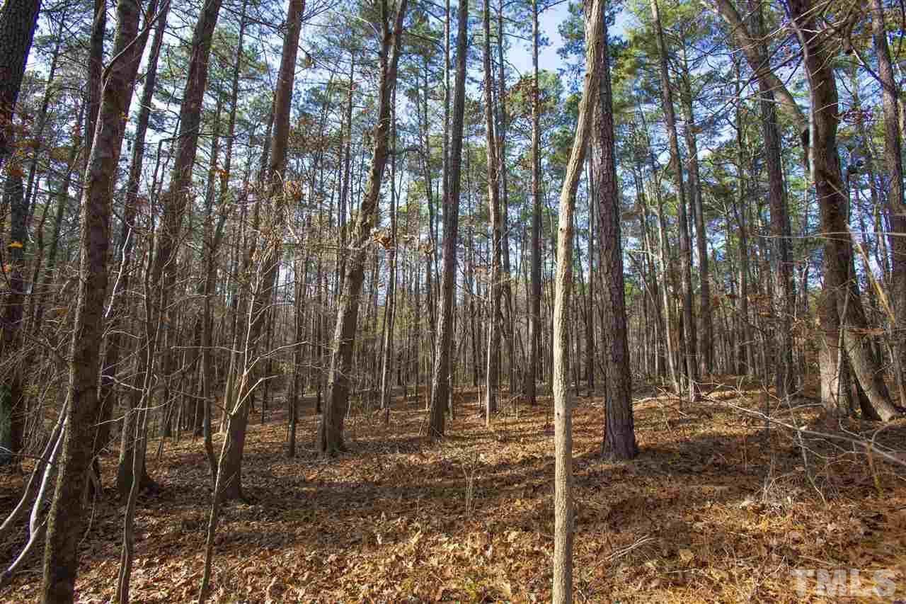 5112 Durham Road Wake Forest, NC 27587 - Photo 11 of 18 a backyard of a house with lots of green space