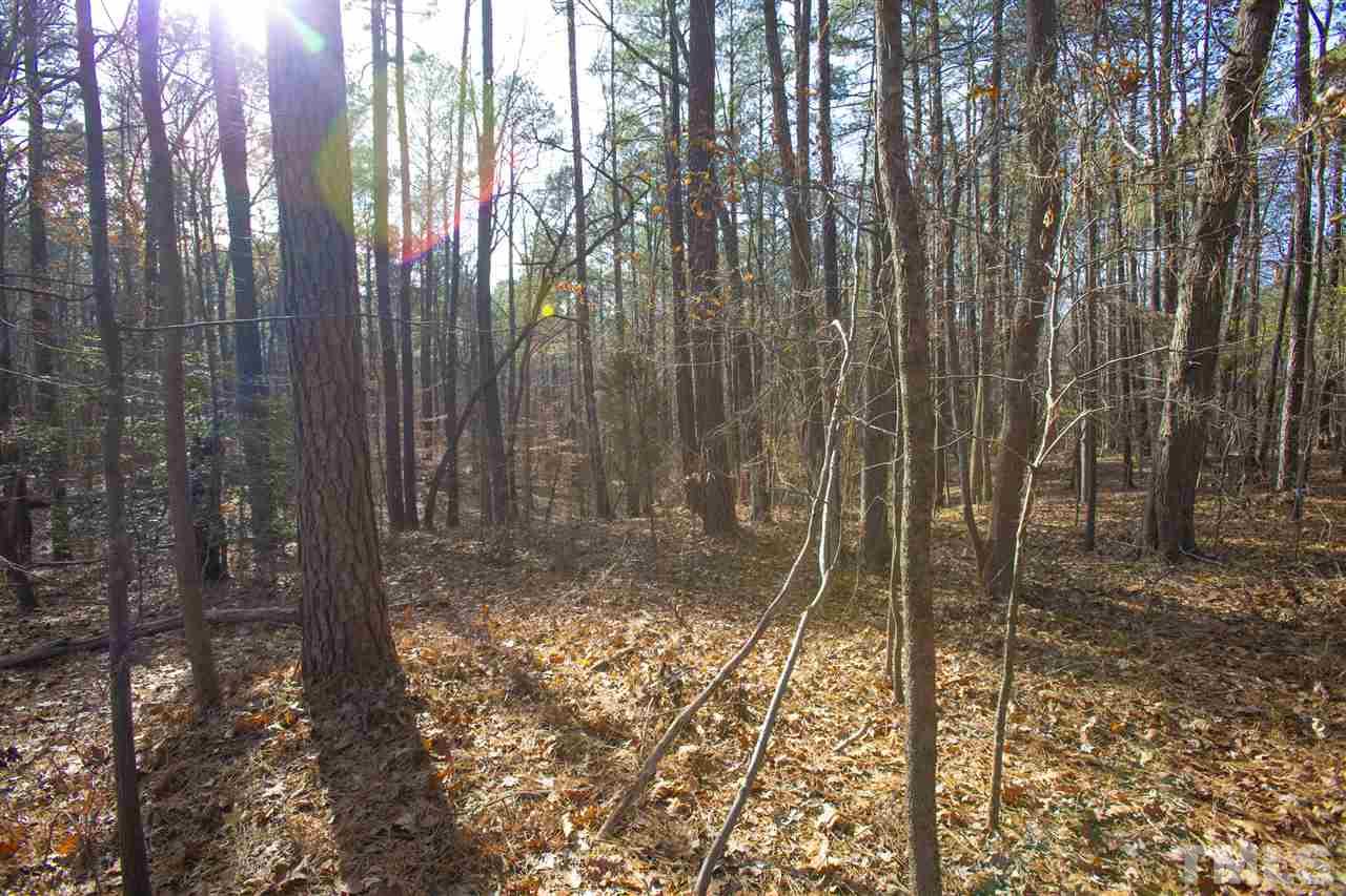 5112 Durham Road Wake Forest, NC 27587 - Photo 12 of 18 a view of a forest