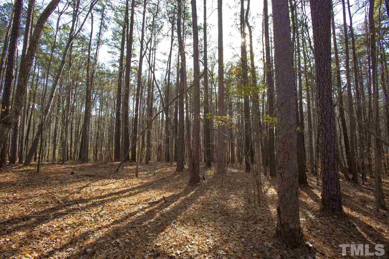 5112 Durham Road Wake Forest, NC 27587 - Photo 14 of 18 a view of outdoor space with trees