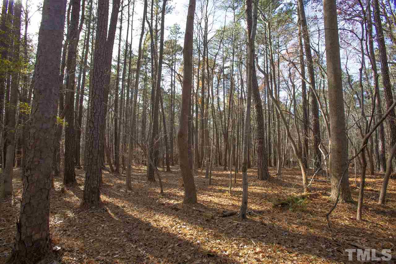 5112 Durham Road Wake Forest, NC 27587 - Photo 15 of 18 a view of outdoor space with lots of trees
