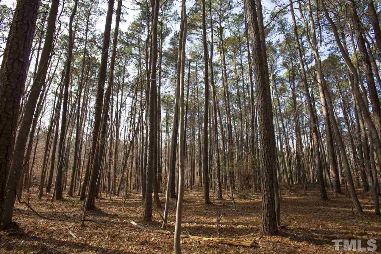 5112 Durham Road Wake Forest, NC 27587 - Photo 3 of 18 a view of a backyard with trees