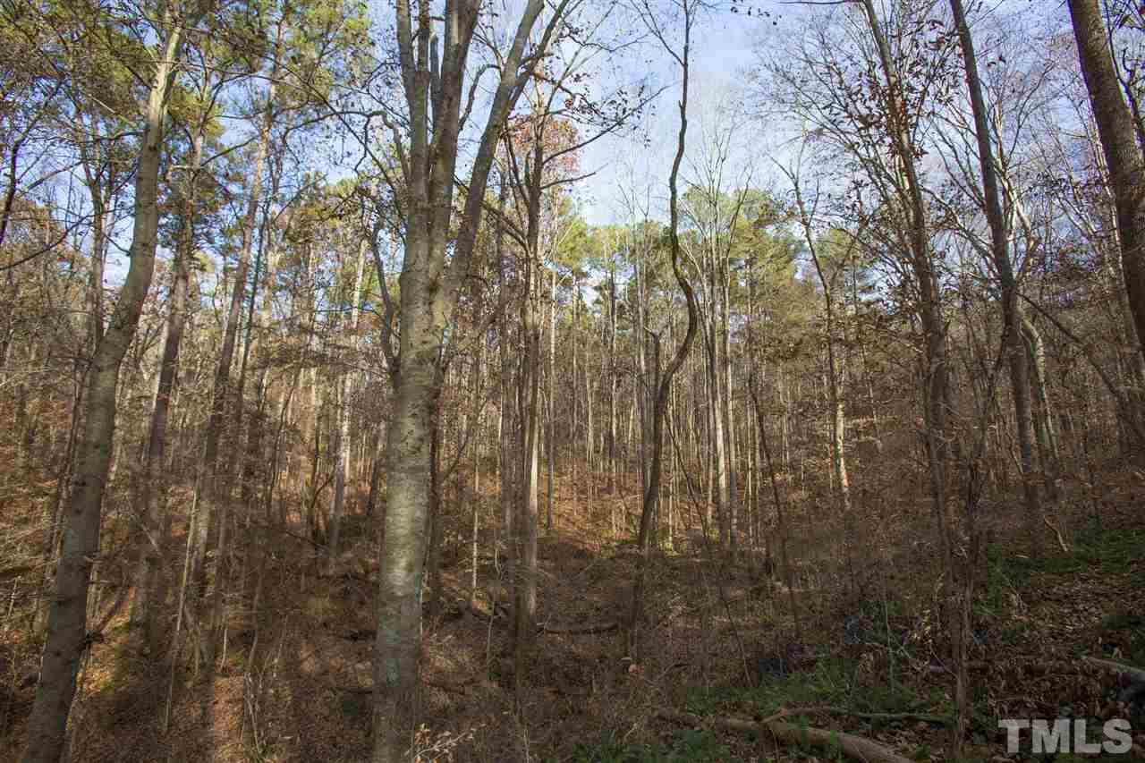 5112 Durham Road Wake Forest, NC 27587 - Photo 5 of 18 a view of a yard with trees