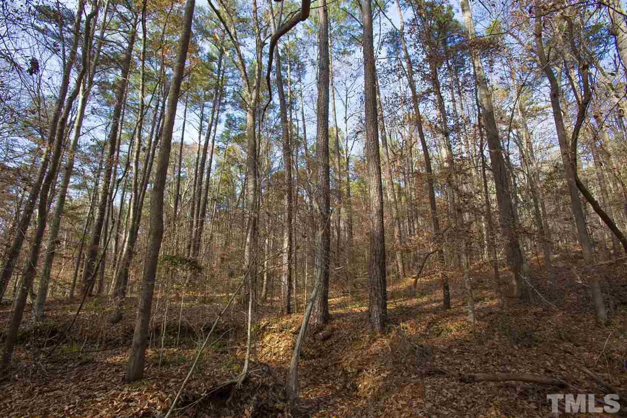 5112 Durham Road Wake Forest, NC 27587 - Photo 8 of 18 a view of forest