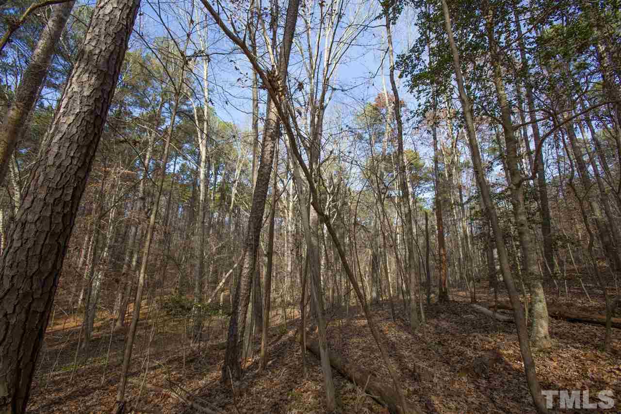 5112 Durham Road Wake Forest, NC 27587 - Photo 10 of 18 a view of forest