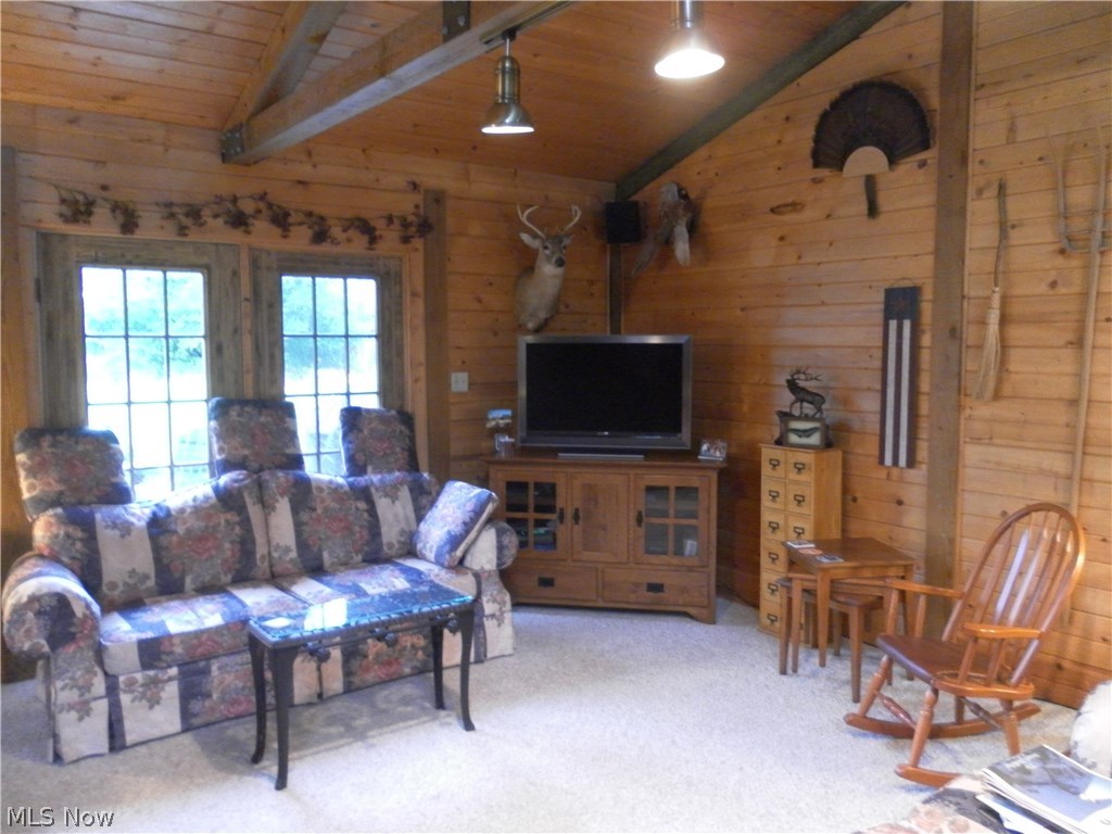 4355 Good Road Seville, OH 44273 - Photo 15 of 27 Gallery Image 15