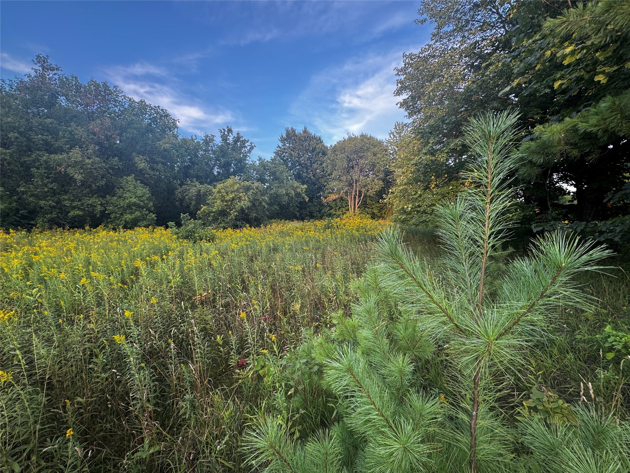 Xx 340th Avenue Frederic, WI 54837 - Photo 16 of 27 Gallery Image 16