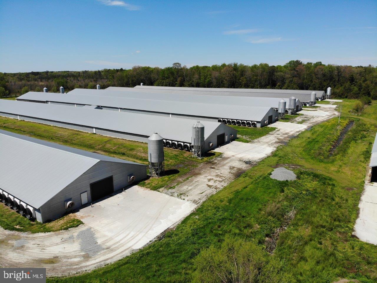 33419 Samuel Hill Road Laurel, DE 19956 - Photo 12 of 27