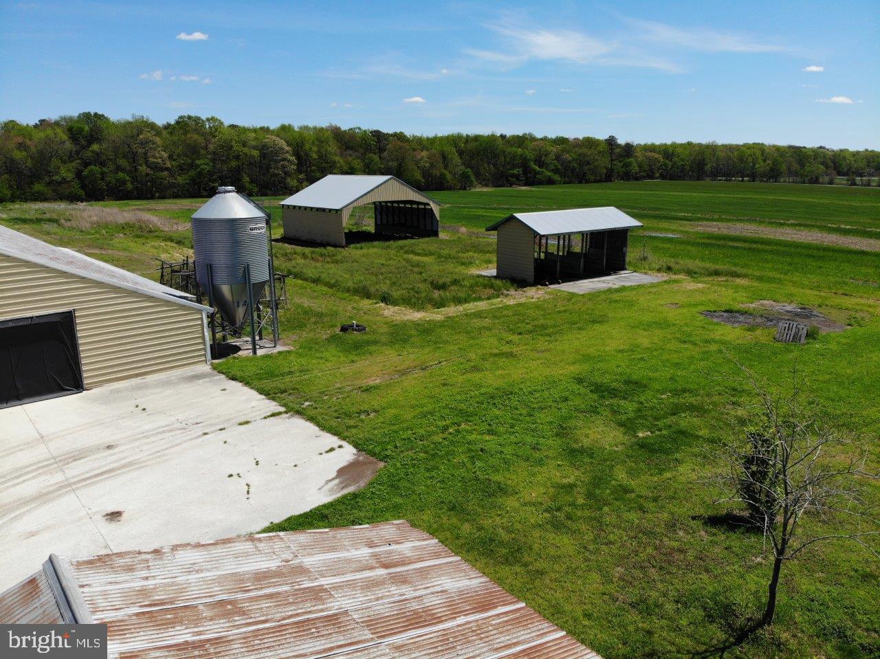33419 Samuel Hill Road Laurel, DE 19956 - Photo 14 of 27