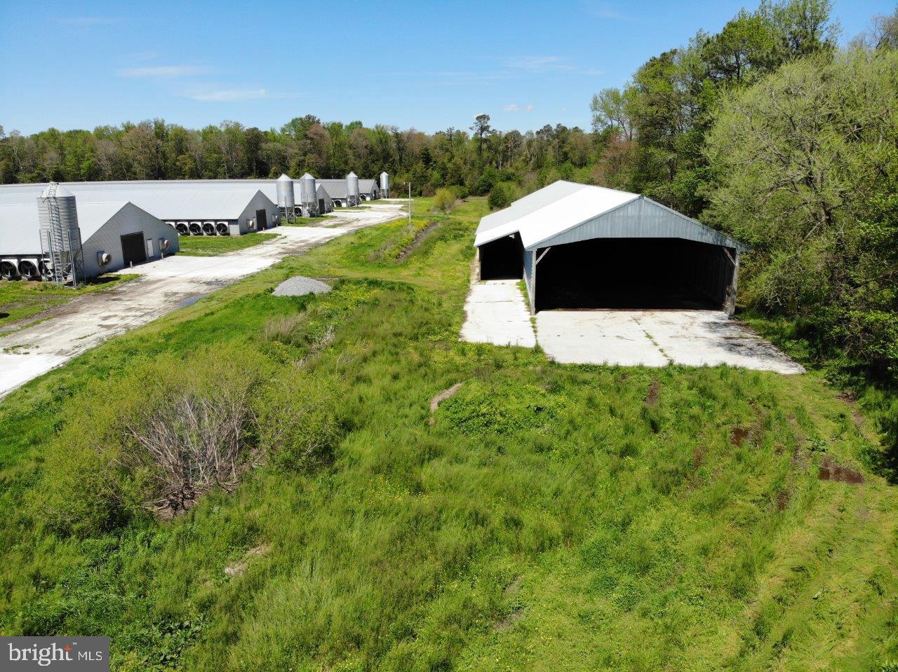 33419 Samuel Hill Road Laurel, DE 19956 - Photo 17 of 27