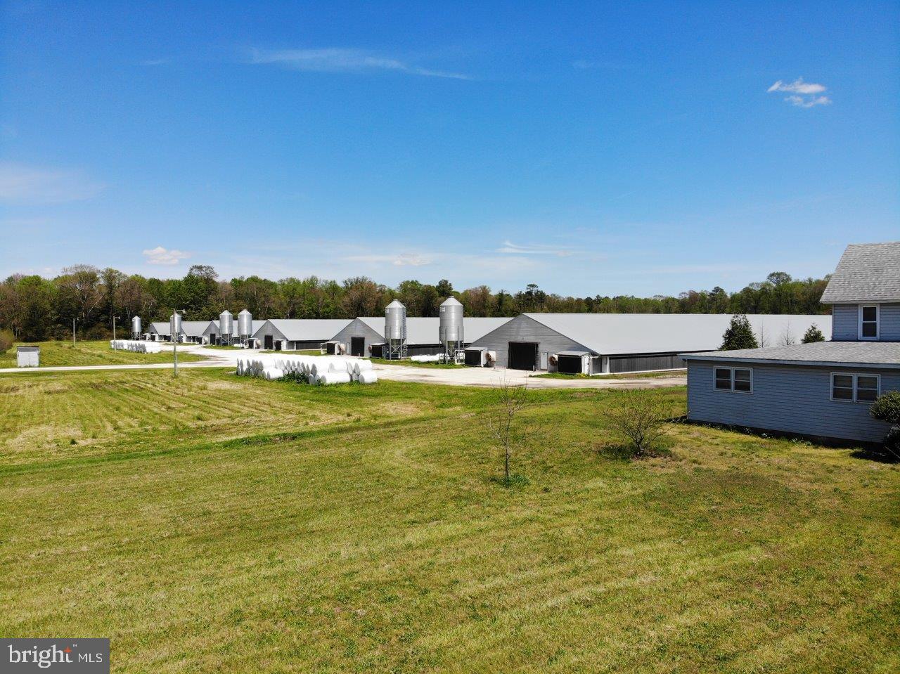 33419 Samuel Hill Road Laurel, DE 19956 - Photo 4 of 27