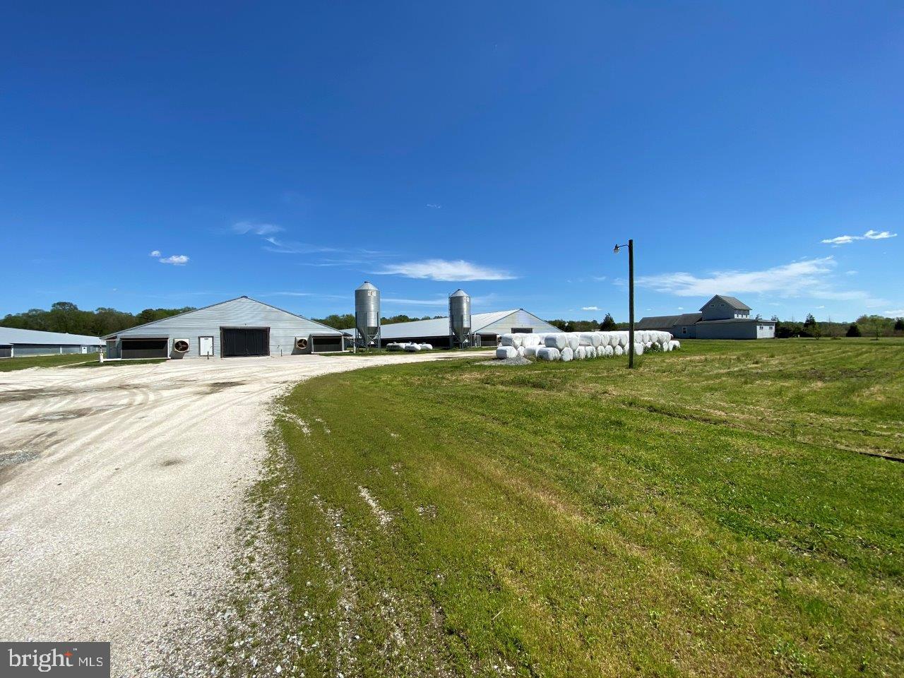 33419 Samuel Hill Road Laurel, DE 19956 - Photo 5 of 27