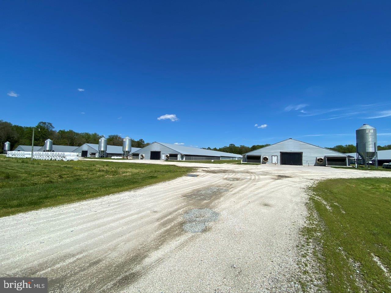 33419 Samuel Hill Road Laurel, DE 19956 - Photo 6 of 27