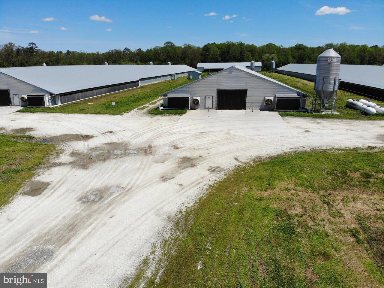 33419 Samuel Hill Road Laurel, DE 19956 - Photo 8 of 27