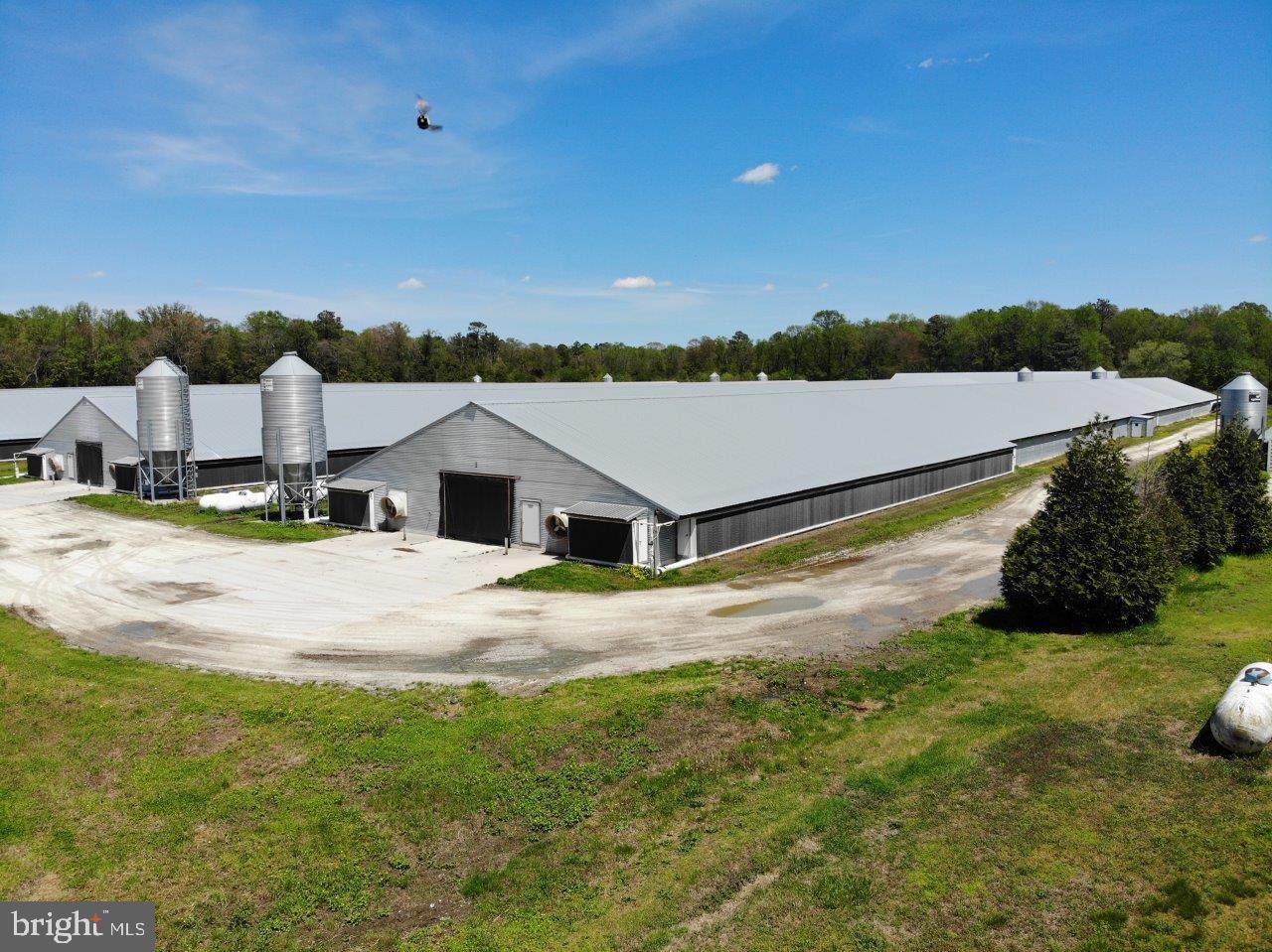 33419 Samuel Hill Road Laurel, DE 19956 - Photo 10 of 27